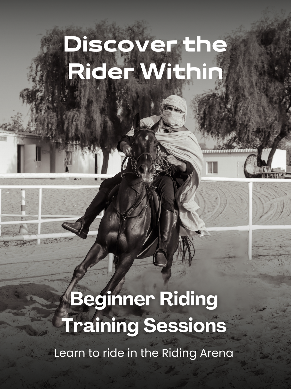 Learn To Ride | Training Sessions | Horse Riding